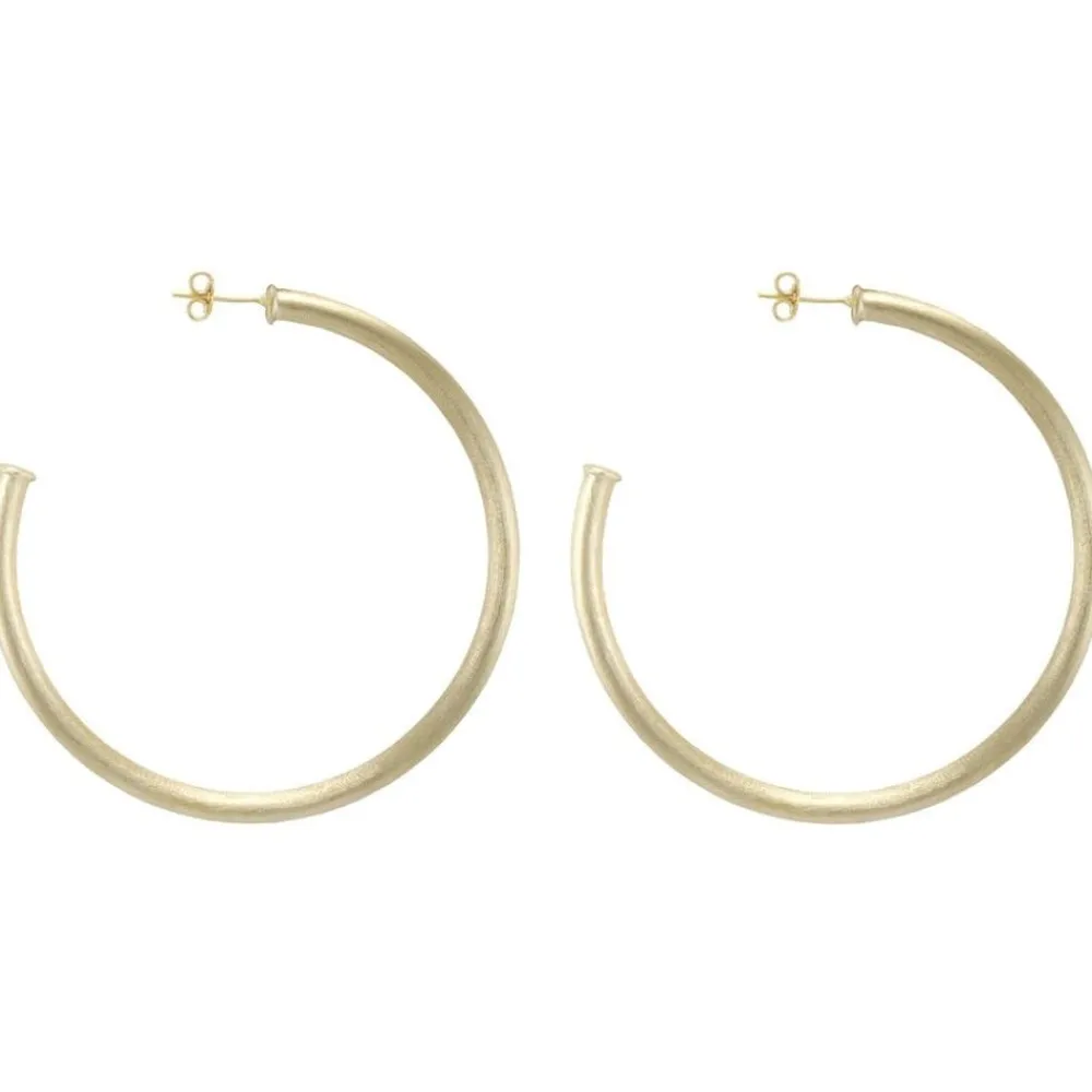 Sheila Fajl Everybody'S Favorite Hoops Gold