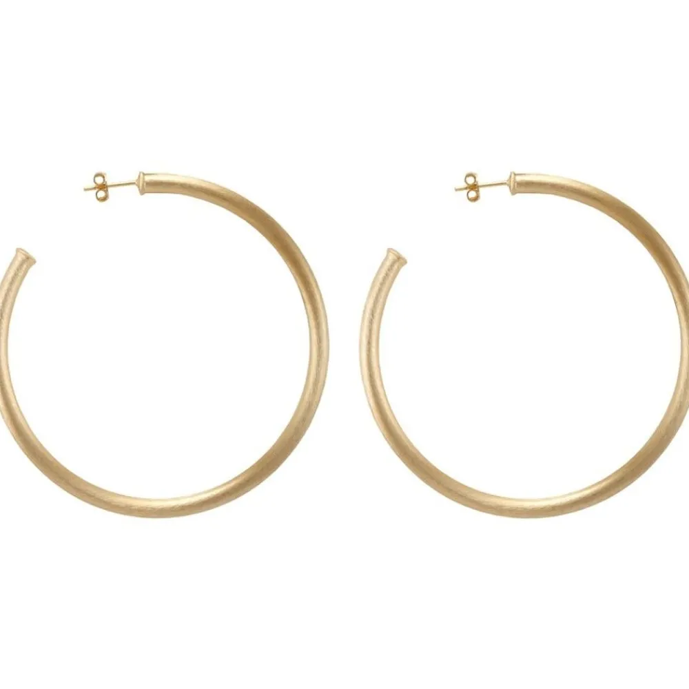 Sheila Fajl Everybody'S Favorite Hoops Champagne