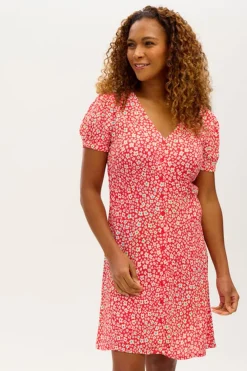 Sugarhill Brighton Gail Dress Rainbow Daisies