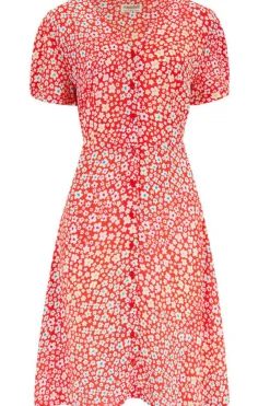 Sugarhill Brighton Gail Dress Rainbow Daisies